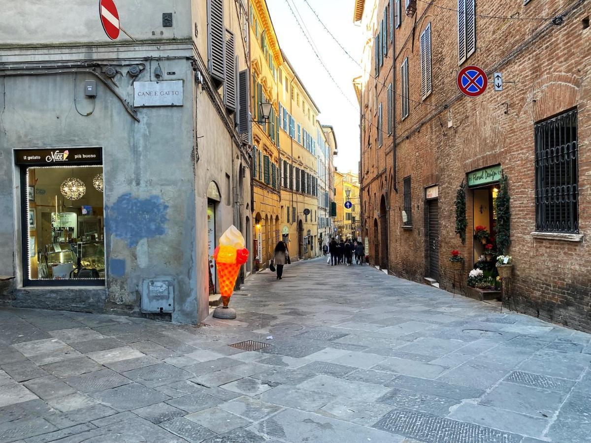 Il Mondo Di Claire - Cozy And Charm Siena Exterior photo
